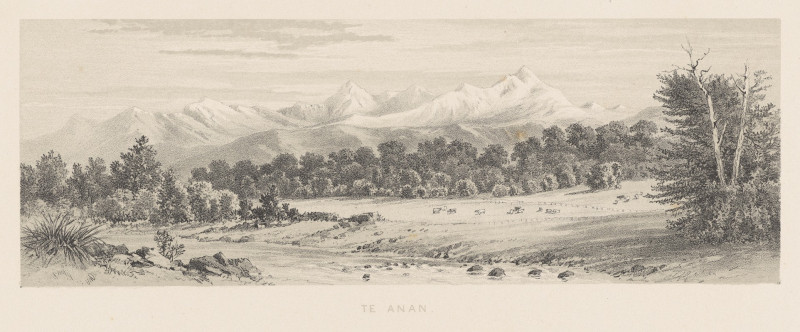 Charles Decimus Barraud reprodukcija New Zealand Graphic and Descriptive. Plate V. Te Anau (1877), VISOS REPRODUKCIJOS , pave...