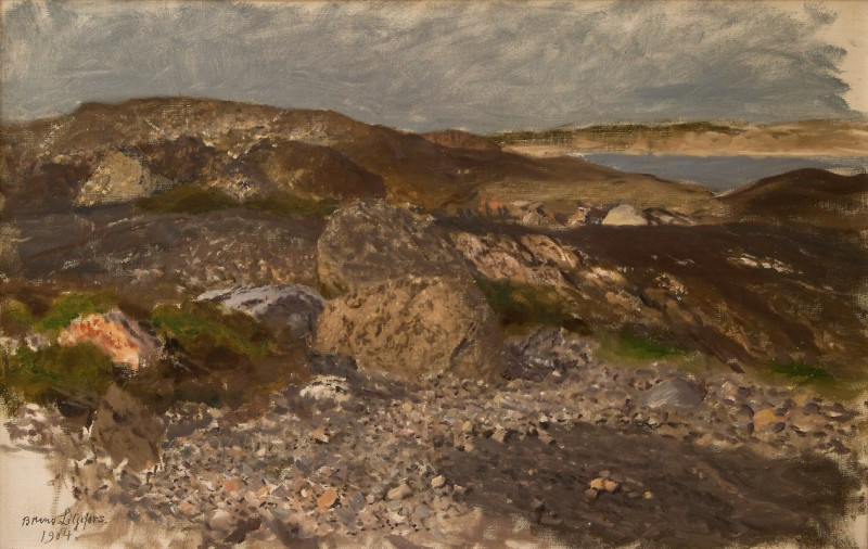 Rocky Ground (1904) reproduction of painting by Bruno Liljefors. ALL GICLEE PRINTS