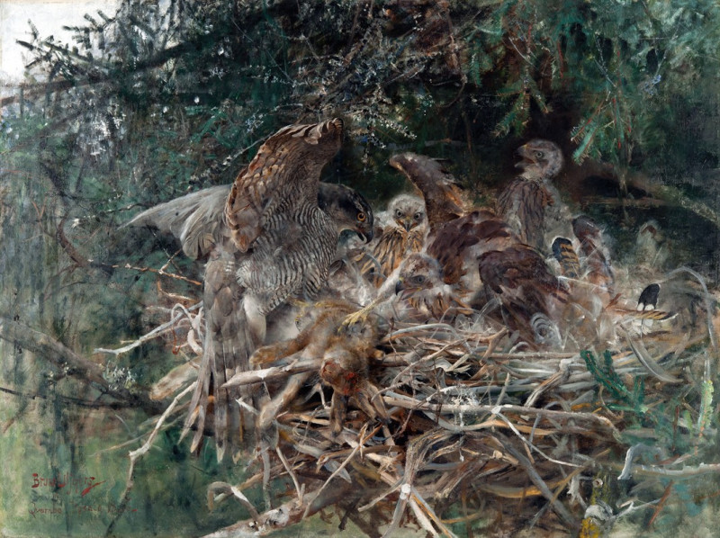 Hawk’s Nest (1886) reproduction of painting by Bruno Liljefors. ALL GICLEE PRINTS