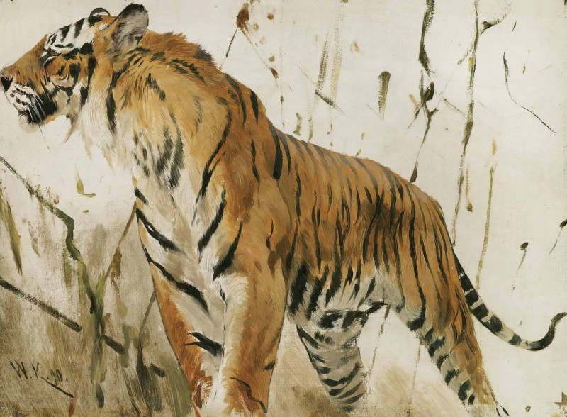 Study Of A Tiger (1890) reproduction of painting by Wilhelm Kuhnert. ALL GICLEE PRINTS