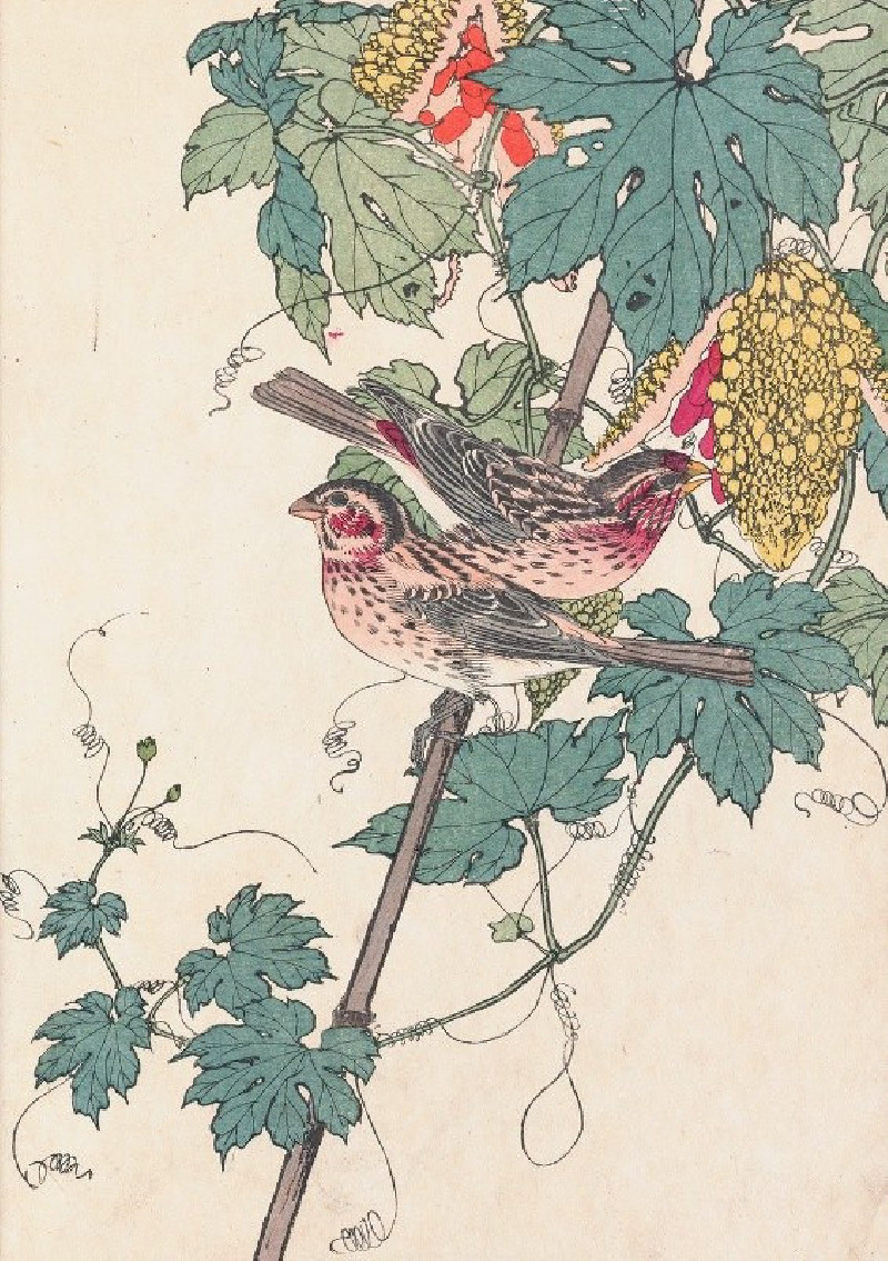 Keinen kachō gafu, Pl.10 (1891-1892) reproduction of painting by Imao Keinen. ALL GICLEE PRINTS