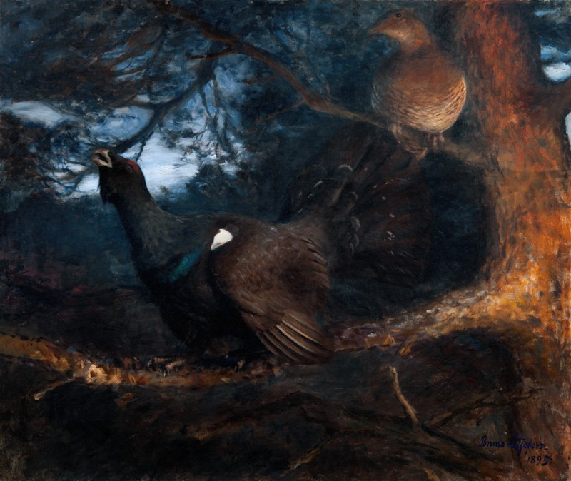 The mating of the Capercaillies (1895) reproduction of painting by Bruno Liljefors. ALL GICLEE PRINTS