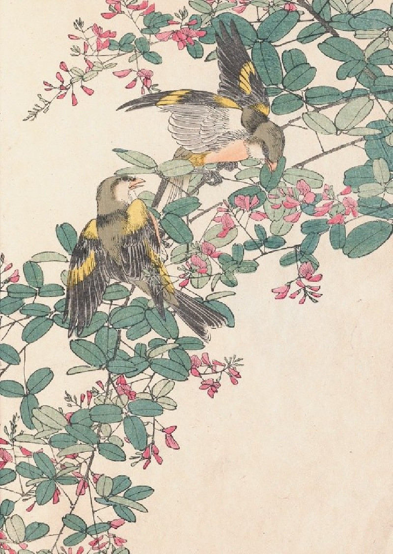 Keinen kachō gafu, Pl.20 (1891-1892) reproduction of painting by Imao Keinen. ALL GICLEE PRINTS