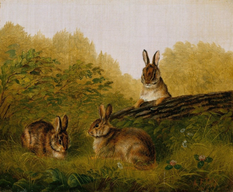 Rabbits on a Log (1897) reproduction of painting by Arthur Fitzwilliam Tait. ALL GICLEE PRINTS