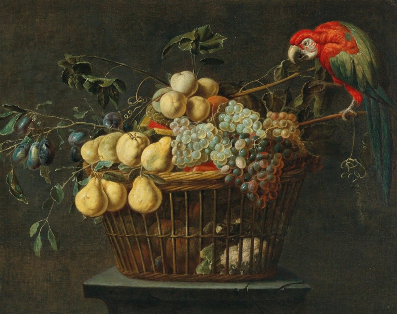 Still life of a basket of fruit with a parrot reproduction of painting by Adriaen van Utrecht. Still-life