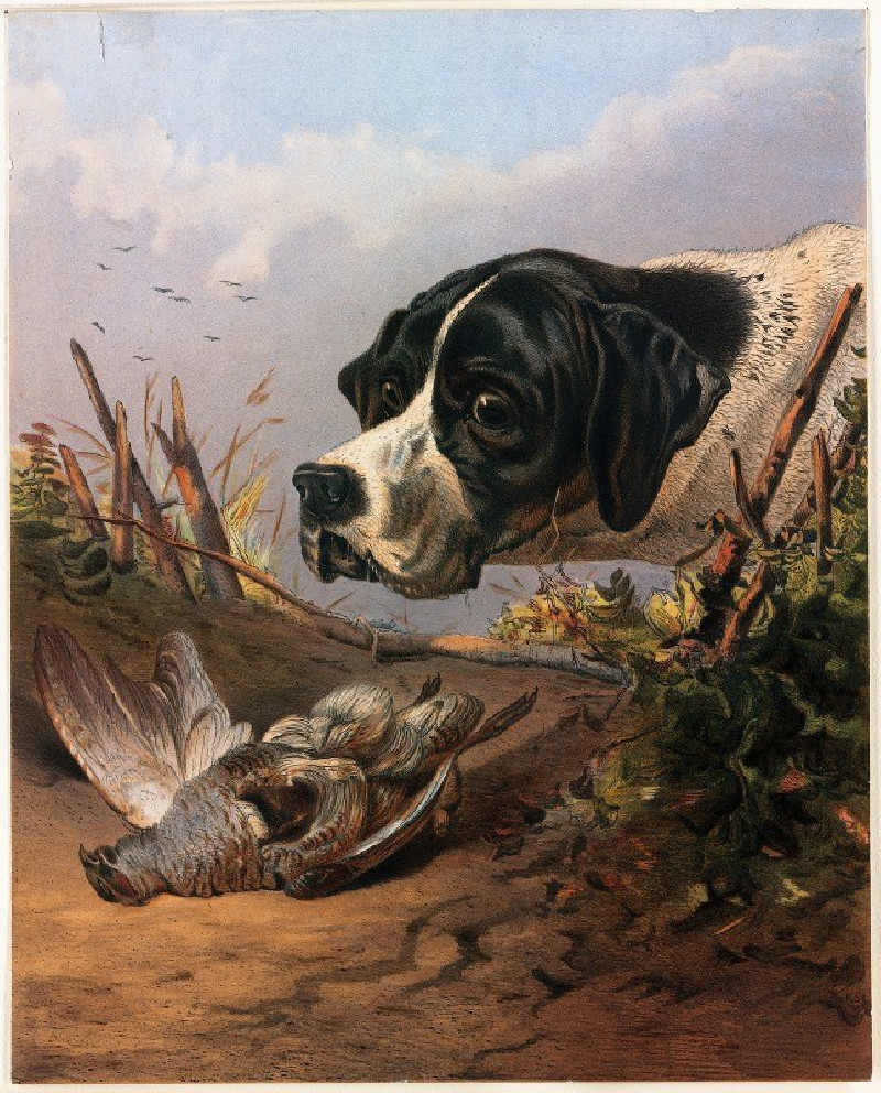 Dog’s Head (ca. 1861–1897) reproduction of painting by Arthur Fitzwilliam Tait. ALL GICLEE PRINTS