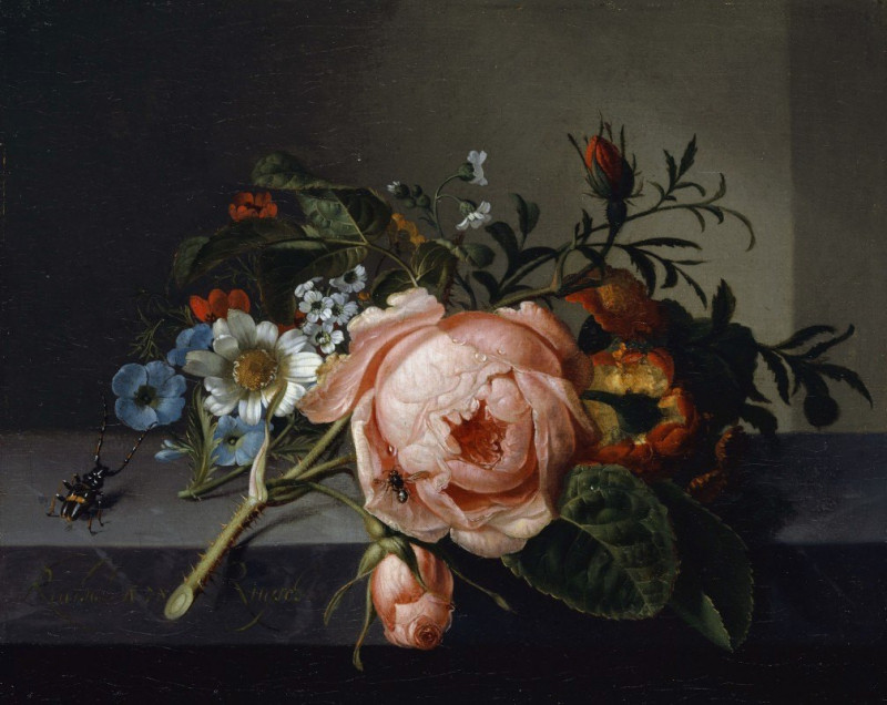 Rachel Ruysch reprodukcija Still Life With Rose Branch, Beetle And Bee (1741), Natiurmortas , paveikslai, reprodukcijos inter...