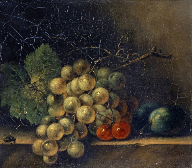 Rachel Ruysch reprodukcija Still Life With Grapes, Stone Fruit And Fly (1686), Natiurmortas , paveikslai, reprodukcijos inter...