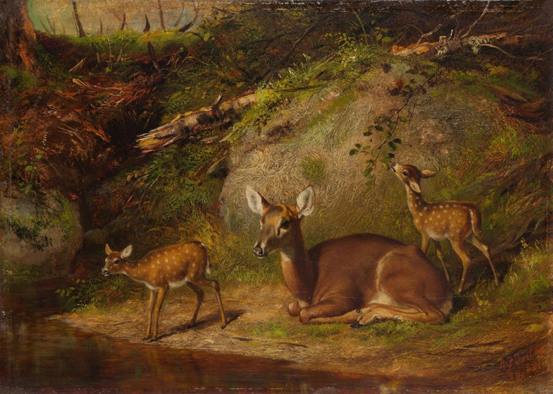 Doe and Two Fawns (1882) reproduction of painting by Arthur Fitzwilliam Tait. ALL GICLEE PRINTS