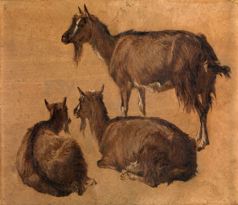 Goats reproduction of painting by Andre Plumot. ALL GICLEE PRINTS