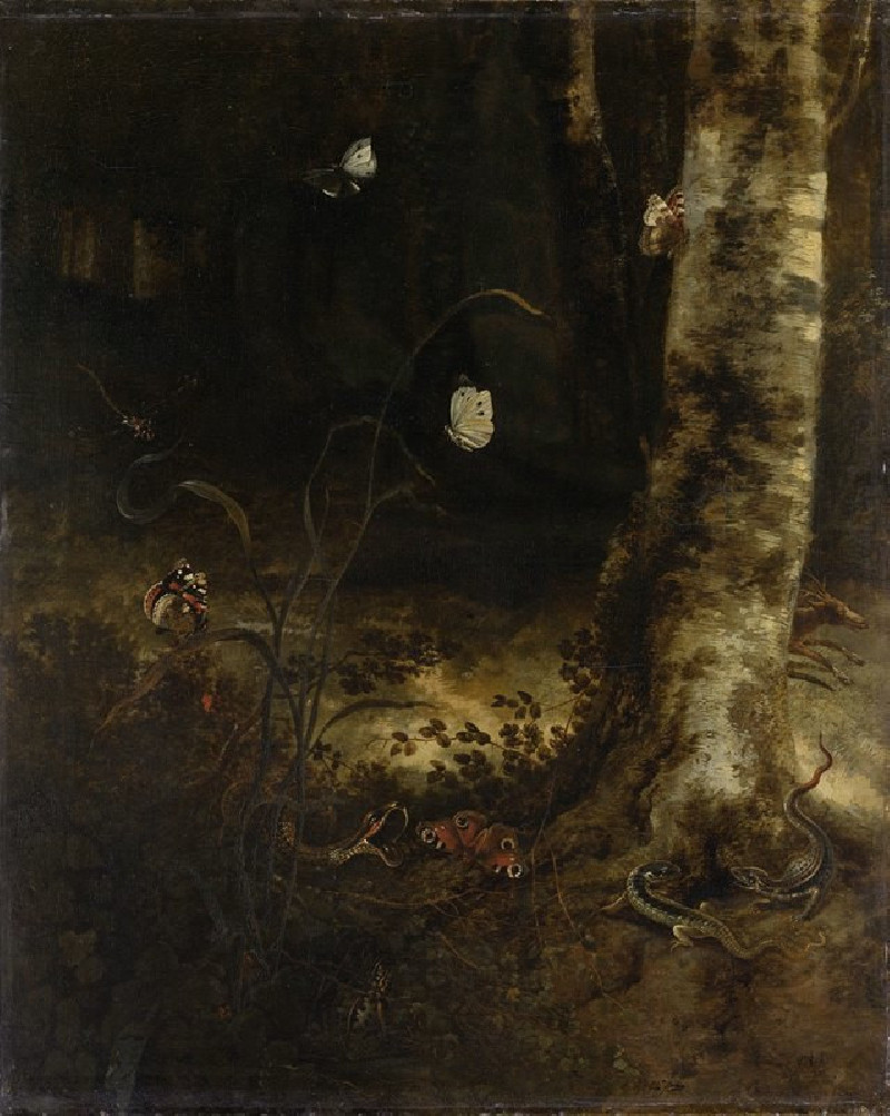 Forest Floor with a Snake, Lizards, Butterflies and other Insects (1650 - 1678) reproduction of painting by Otto Marseus van ...