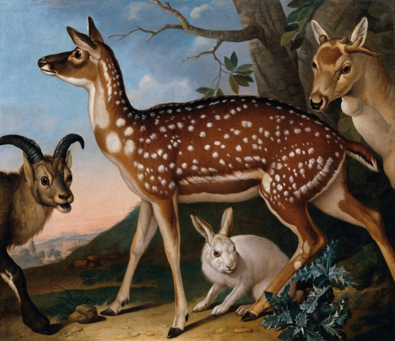 Damwild, Steinbock Und Hase (1723) reproduction of painting by Philipp Ferdinand de Hamilton. ALL GICLEE PRINTS