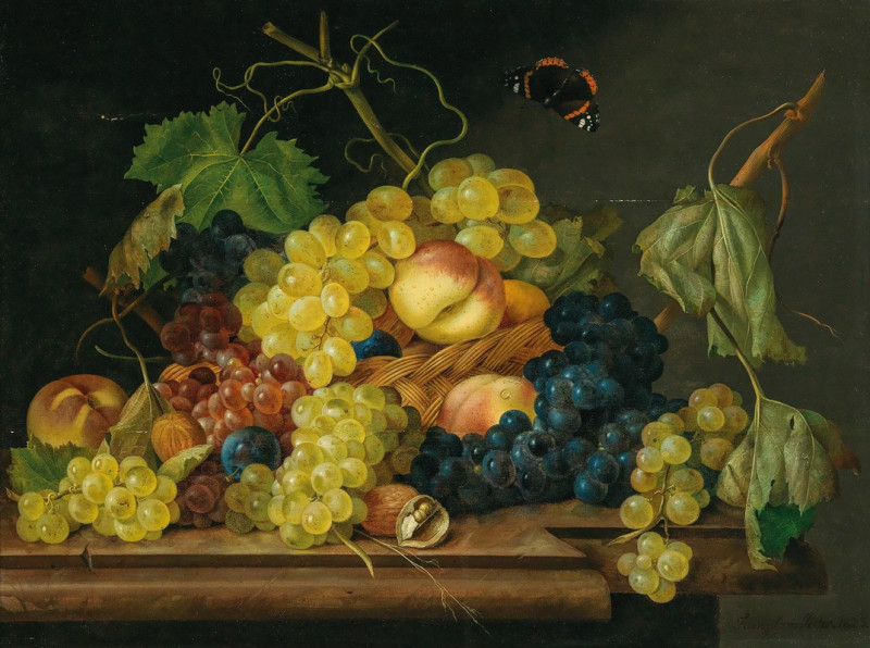 Still Life with Grapes, Peaches and Walnuts (1823) reproduction of painting by Franz Xaver Petter. Still-life