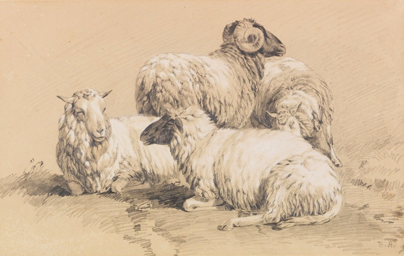 Four sheep reproduction of painting by Benno Raffael Adam. ALL GICLEE PRINTS