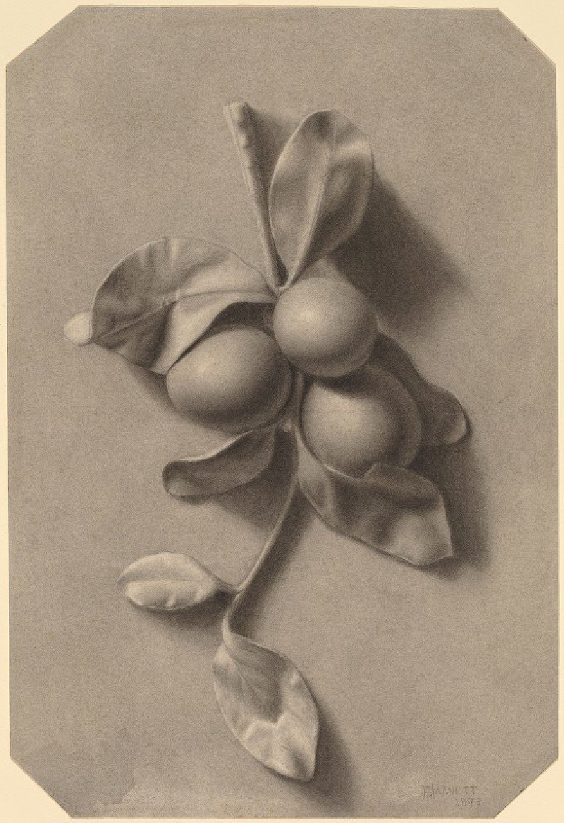 William Michael Harnett reprodukcija A Sprig of Plums (1873), VISOS REPRODUKCIJOS , paveikslai, reprodukcijos internetu