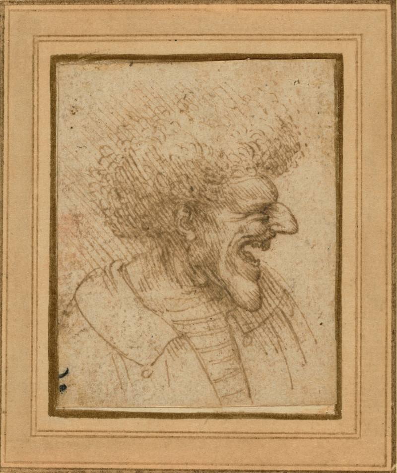 Caricature of a Man with Bushy Hair (1495) reproduction of painting by Leonardo da Vinci. ALL GICLEE PRINTS