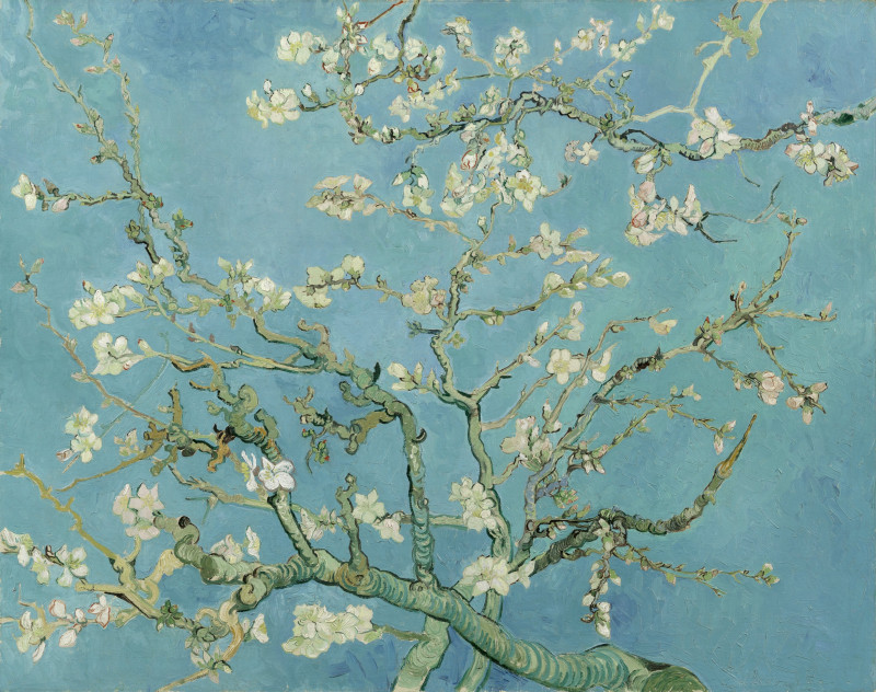 Vincent Van Gogh reprodukcija Almond Blossom, Klasikų reprodukcijos , paveikslai, reprodukcijos internetu